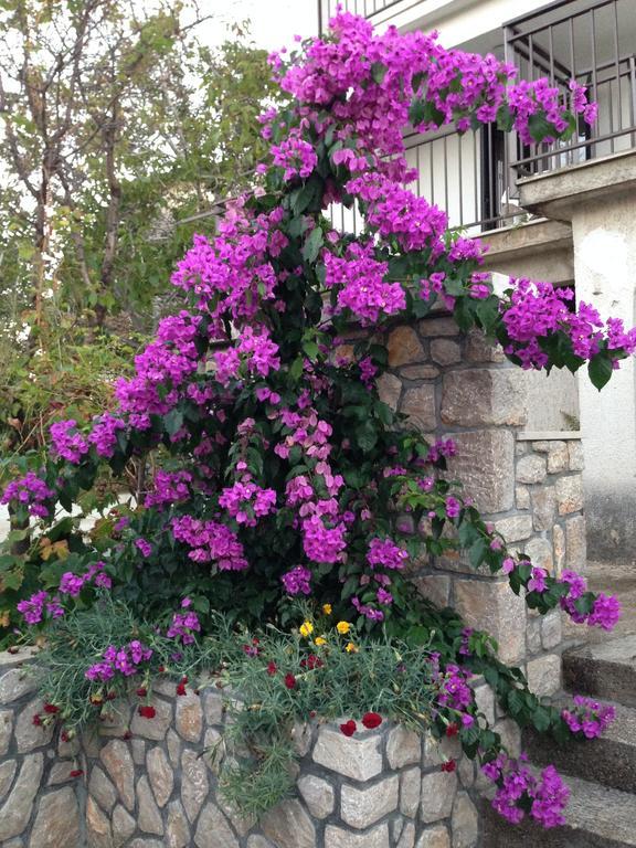 Guesthouse Maver Cres Chambre photo